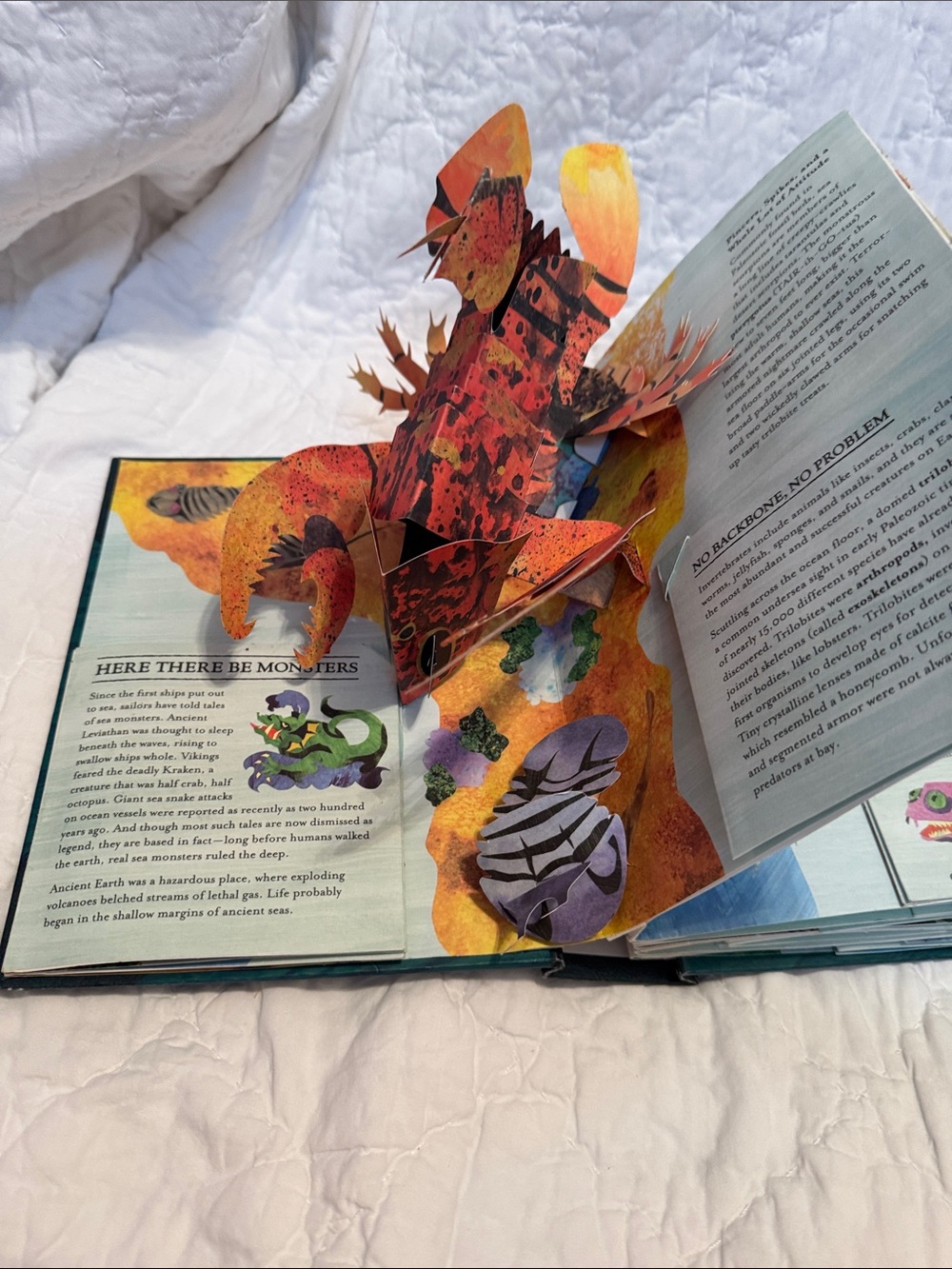 Encyclopedia Prehistorica: Sharks and Other Sea Monsters - Teal Pop-Up Book - Picture 3 of 8